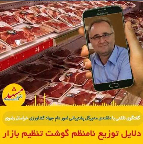 ۱۰تن گوشت گرم به زودی در فروشگاه های استان توزیع می‌شود.