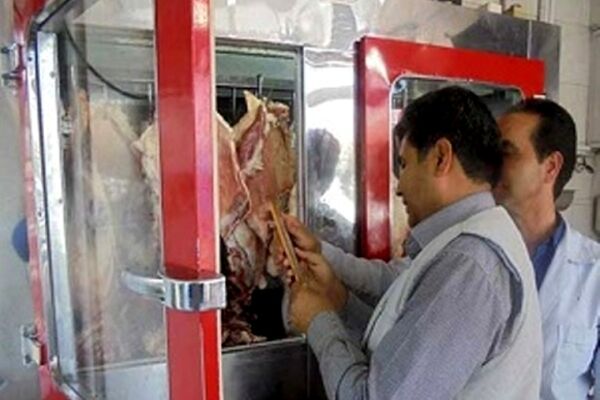 صنوف مشهد در یک هفته حدود 2 میلیارد ریال تخلف کردند