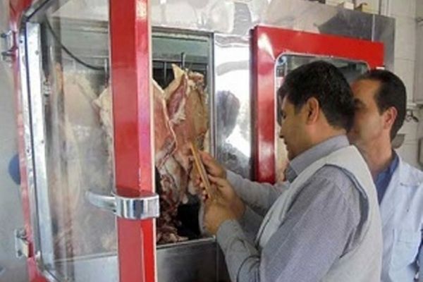 صنوف مشهد در یک هفته حدود 2 میلیارد ریال تخلف کردند