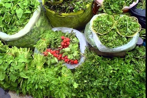 قیمت سبزی در 15 روز اول ماه رمضان افزایشی است