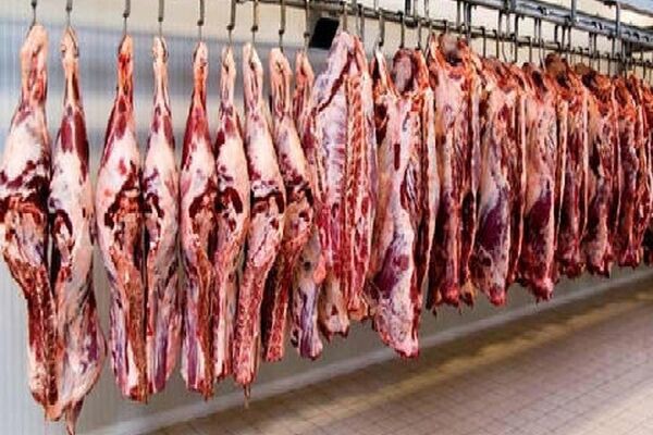 گوشت تنظیم بازار تنها با کارت ملی توزیع می شود