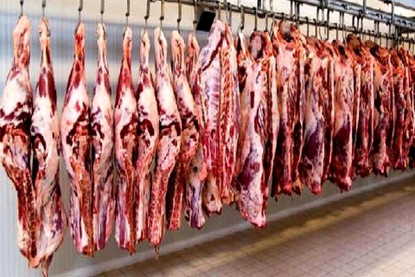 گوشت تنظیم بازار تنها با کارت ملی توزیع می شود