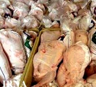 سه تن گوشت فاسد مرغ در مشهد معدوم شد