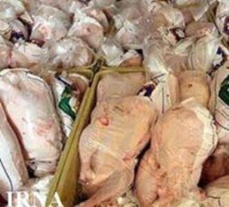سه تن گوشت فاسد مرغ در مشهد معدوم شد