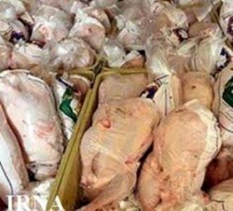 سه تن گوشت فاسد مرغ در مشهد معدوم شد