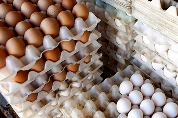 کشف پنج تن تخم مرغ غیر بهداشتی در مشهد