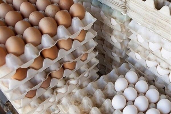 کشف پنج تن تخم مرغ غیر بهداشتی در مشهد