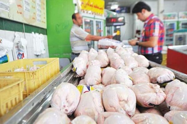 آغاز خرید مرغ برای ذخیره سازی در خراسان رضوی