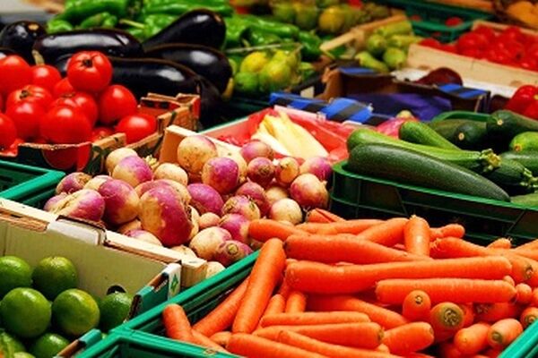 سقوط قیمت 14 نوع میوه‌ و میوه جات به زیر ۴هزار تومان