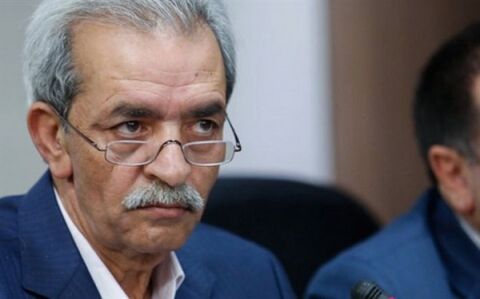 شافعی: نقطه کور شرایط فعلی اقتصاد ایران، عدم اجرای قانون بهبود محیط کسب و کار است