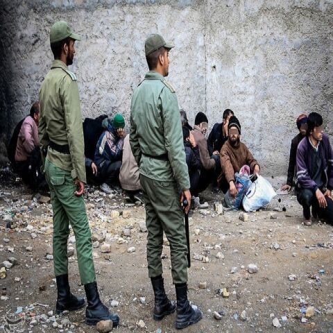 جمع‌آوری ۲۰۲ معتاد متجاهر و خرده فروش در مشهد