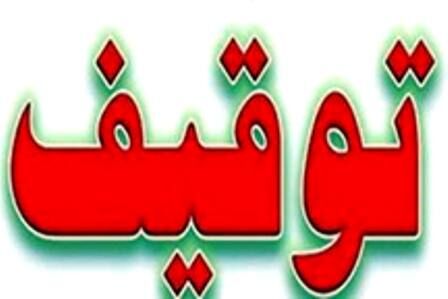 توقیف کامیونت حامل بیش از 3 تن مرغ منجمد قاچاق