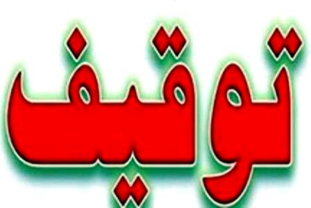 توقیف کامیونت حامل بیش از 3 تن مرغ منجمد قاچاق