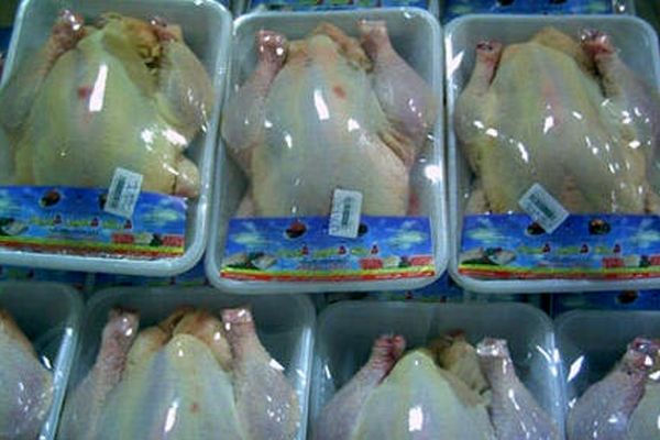 صادرات مرغ آزاد شد