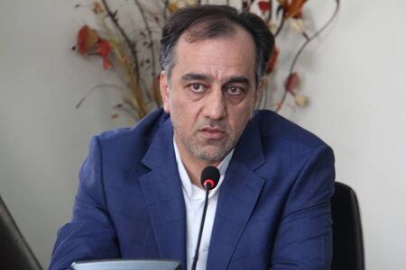 تعداد نگارخانه‌ ها متناسب با ظرفیت هنری استان نیست