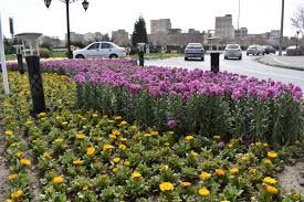 گلکاری ویژه ۳۲ نقطه از سطح شهر مشهد