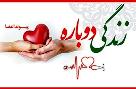اهدای عضو به شش بیمار زندگی دوباره بخشید