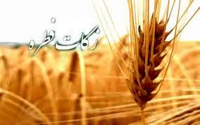 جمع آوری بیش از 3 میلیارد تومان زکات فطریه و کفارات از ۲۷۰۰ پایگاه