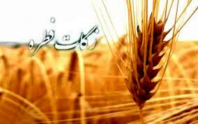 جمع آوری بیش از 3 میلیارد تومان زکات فطریه و کفارات از ۲۷۰۰ پایگاه