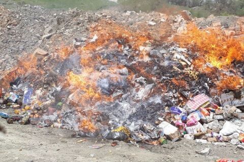 ۹ تن مواد غذایی فاسد در تربت حیدریه معدوم شد