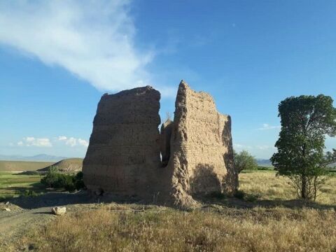 یک آسباد در منطقه زاوه تربت حیدریه کشف و شناسایی شد