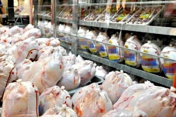 افزایش قیمت جوجه و گرمی هوا عامل اصلی گرانی مرغ است
