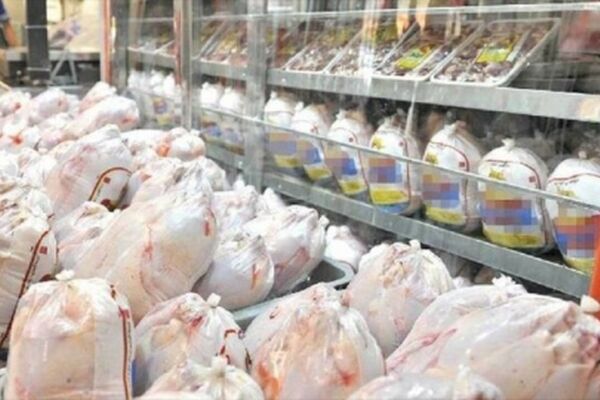 افزایش قیمت جوجه و گرمی هوا عامل اصلی گرانی مرغ است