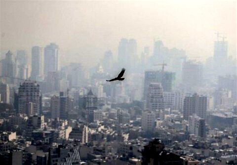 ایستگاه‌های لشگر، وحدت و ساختمان در شرایط ناسالم قرار دارند
