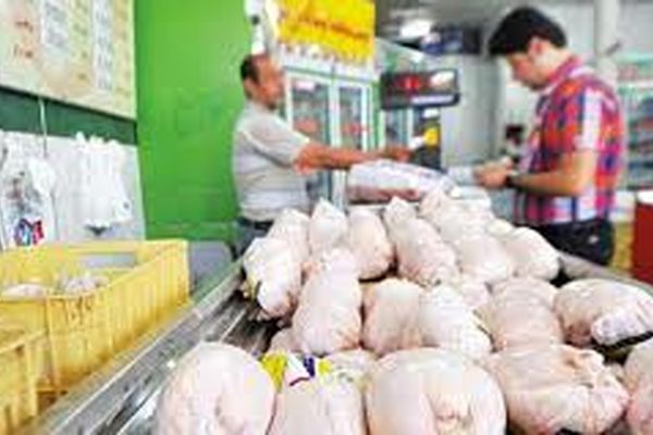 دلالی با شایعه مرغ 15 هزار تومانی