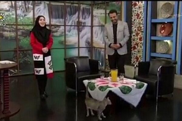 حضور گربه در برنامه زنده تلویزیونی و خوش‌ و بش مجری با آن
