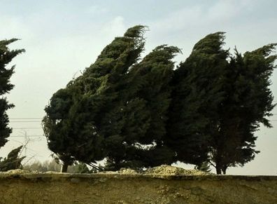 وزش باد شدید در خراسان رضوی/ گرمای هوا ماندگار است