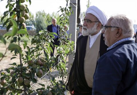 درآمدزایی مجموعه‌های اقتصادی آستان قدس باید در چارچوب قانون و شرع باشد