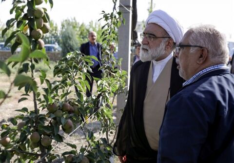 درآمدزایی مجموعه‌های اقتصادی آستان قدس باید در چارچوب قانون و شرع باشد