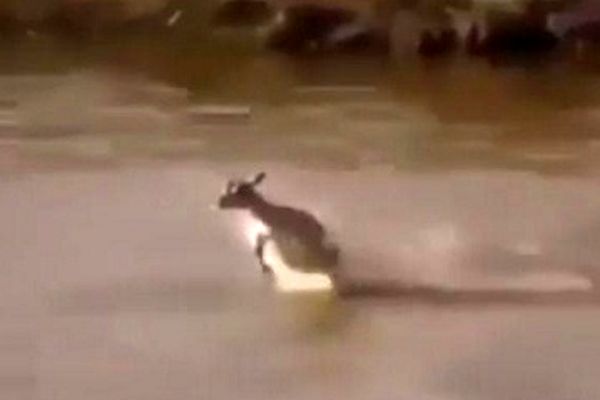 پستی که میلیون‌ها بازدید در فضای مجازی خورد!