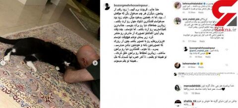 اقدام نامتعارف بازیگران ایرانی با حیوانات