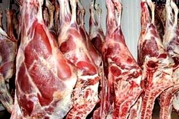 افزایش قیمت گوشت قرمز غیرقانونی است