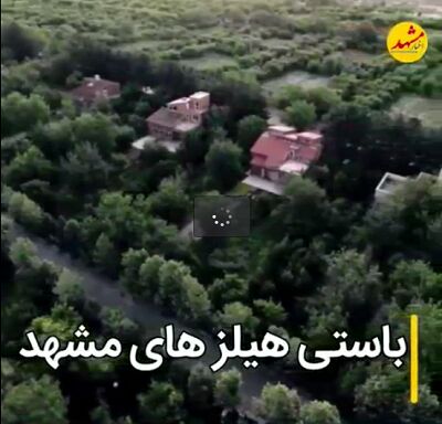 باستی هیلزهای مشهد کجایند؟