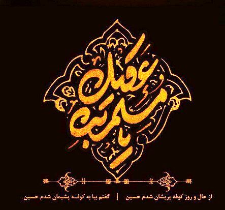 یاران خورشید / مسلم بن عقیل