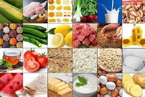 قیمت اقلام پروتئینی، میوه و تره‌بار در بازار مشهد؛ شنبه ۱۶ شهریورماه + جدول
