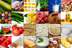 قیمت اقلام پروتئینی، میوه و تره‌بار در بازار مشهد؛ شنبه ۱۶ شهریورماه + جدول