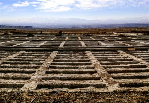 بیماری سیستم گردش خون اولین علت فوت مشهدی‌ها در سال گذشته