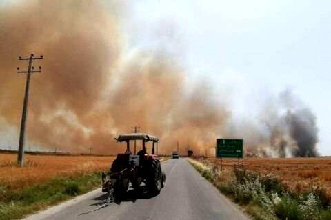 آتش‌سوزی در مزرعه نمونه مشهد