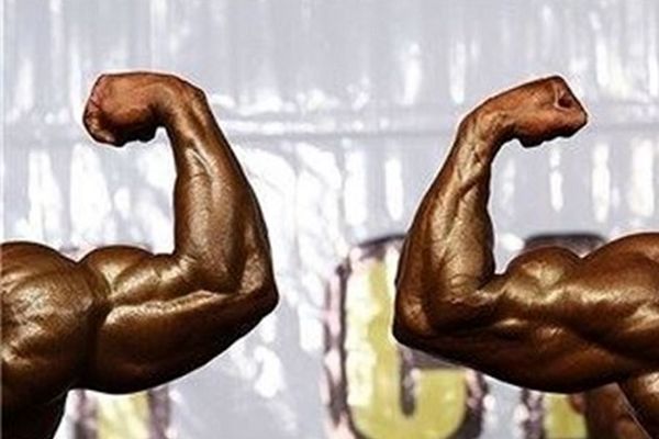 پرورش اندامکاران خراسانی پنج مقام کشوری کسب کردند