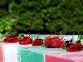 مراسم استقبال از 7 شهید دوران دفاع مقدس در مشهد برگزار شد
