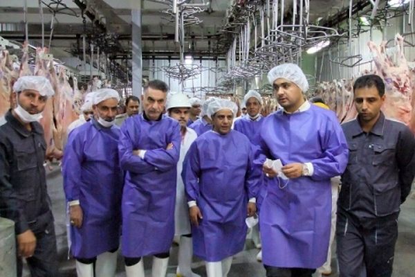 بازدید رئیس شبکه دامپزشکی مشهد از سالن‌های ذبح دام