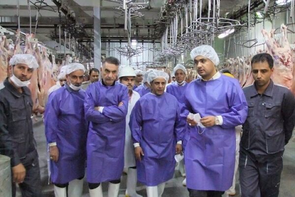 بازدید رئیس شبکه دامپزشکی مشهد از سالن‌های ذبح دام