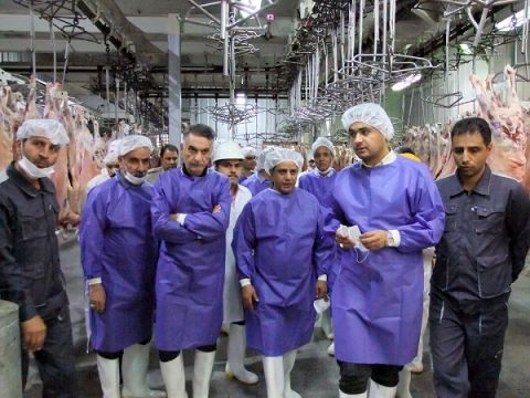 بازدید رئیس شبکه دامپزشکی مشهد از سالن‌های ذبح دام