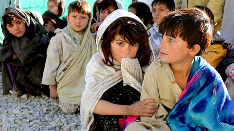 ۹۵ درصد مهاجران افغانستان در خراسان رضوی مقیم مشهد هستند