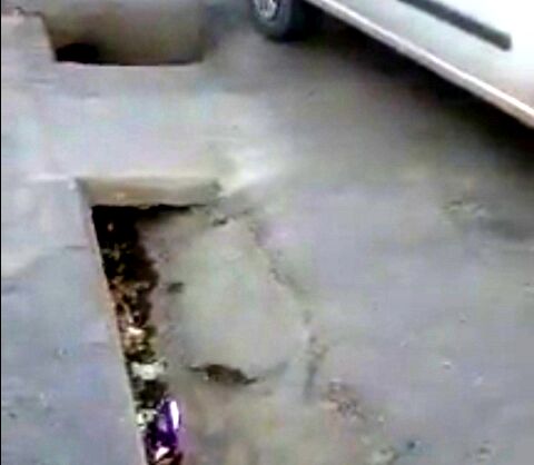 گلایه شهروندان مشهدی از وجود موش درخیابان‌ فدائیان اسلام