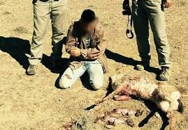 سه شکارچی در گناباد دستگیر شدند